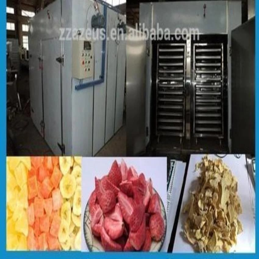 Solar Fruit Dryer