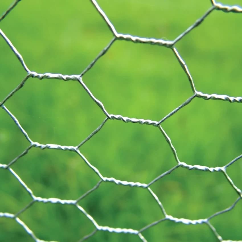 Stainless Steel Chicken Wire Mesh