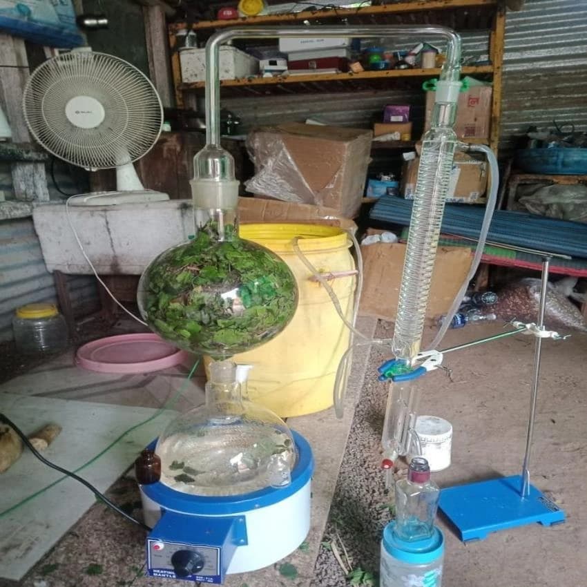 Borosilicate Glass 5LTR steam distillation apparatus for essentiel oil extraction, Model Name/Number: HS-5LTR