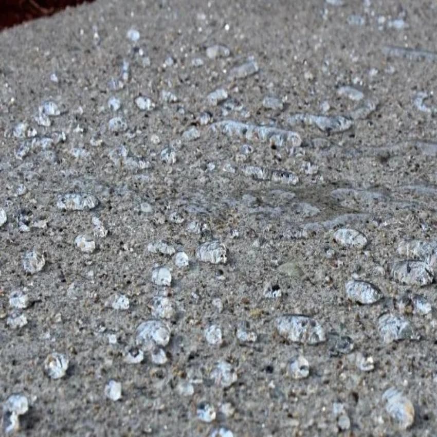 R-Sealtech- Deep Penetrating Sealers