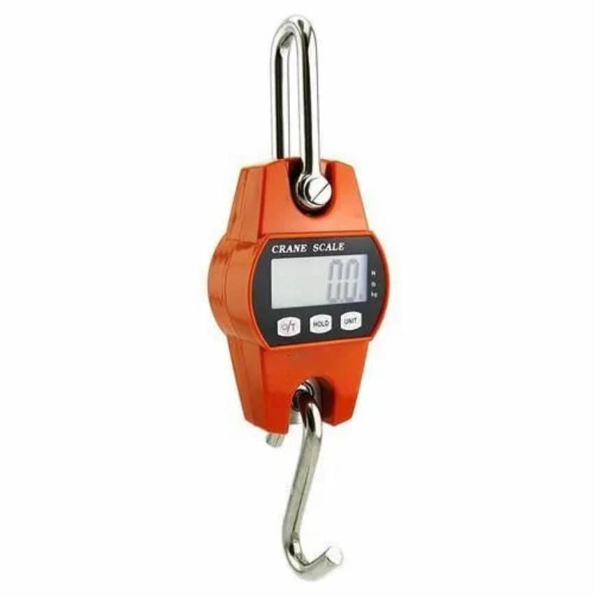 Crane Scale