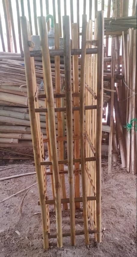 Bamboo Tree Guard