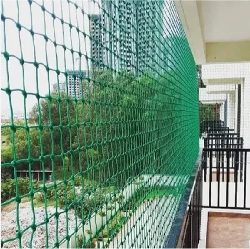 Bird Netting Service
