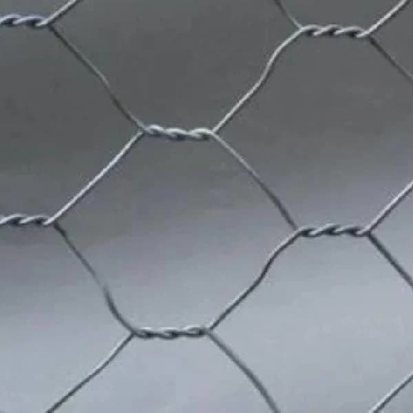 Hexagonal Wire Netting