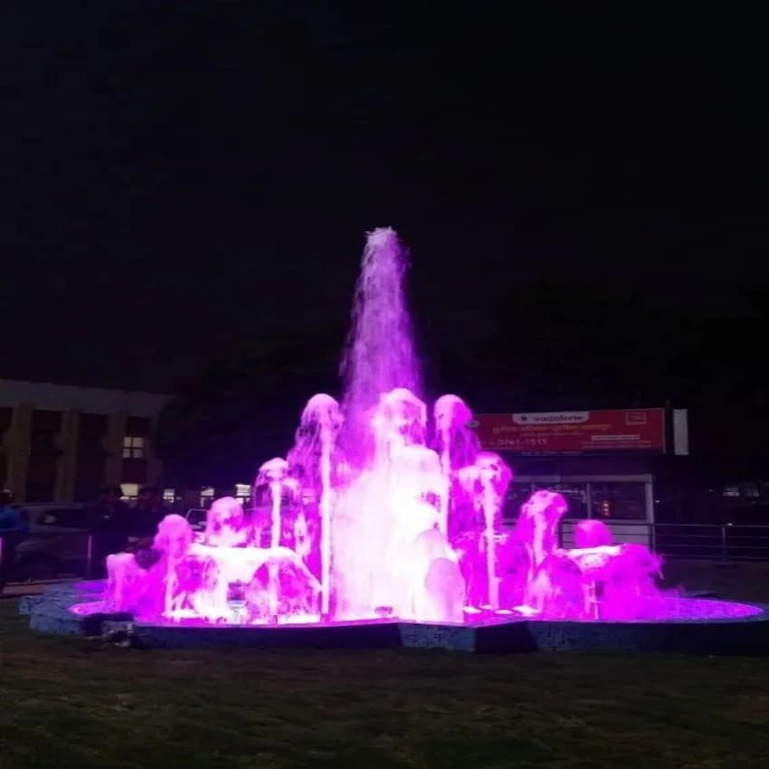 Stainless Steel Multicolor Garden Musical Fountain