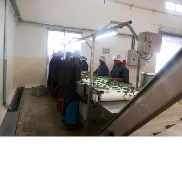 Inspection Belt Conveyor