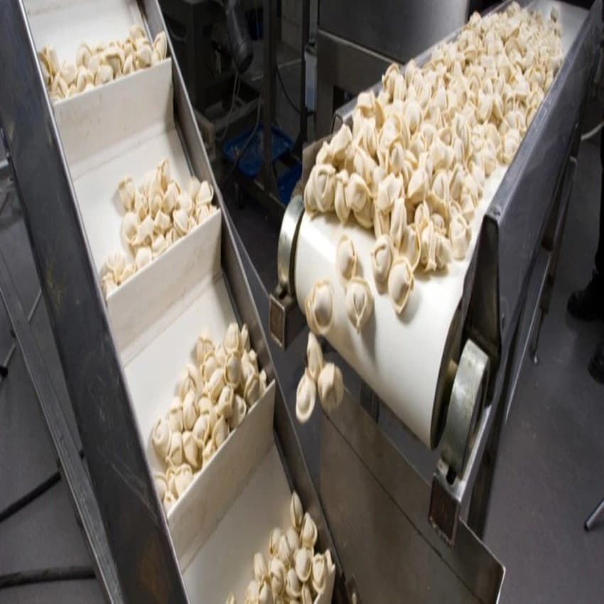 Food Grade Belt Conveyor, Belt Thickness: 5 - 10 mm