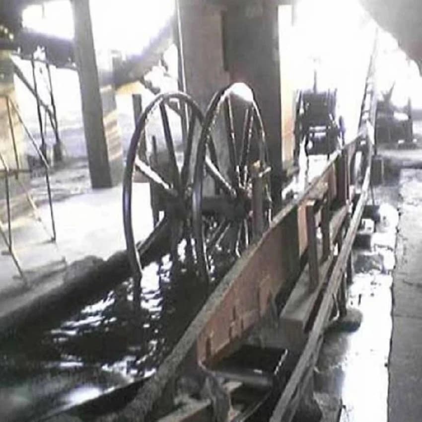 Conveyor Pressue Wheel