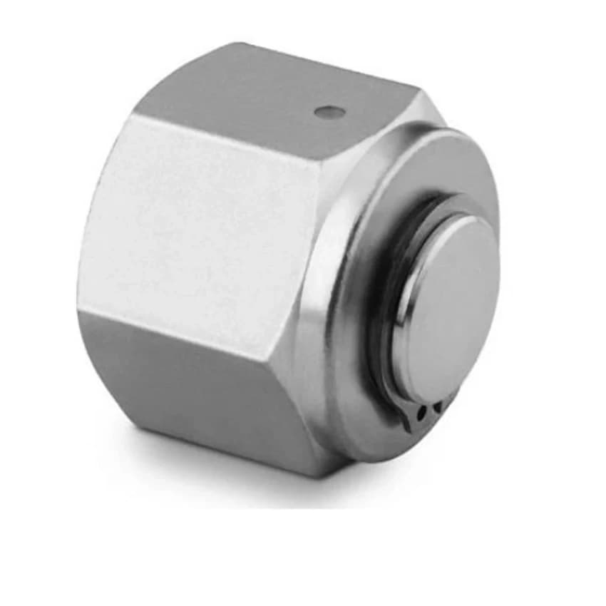 Stainless Steel Hexagonal S.S. OD Cap Nut