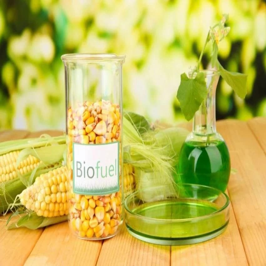 Liquid Vegetable Oil Biofuel Briquettes Machine, For Vehicle