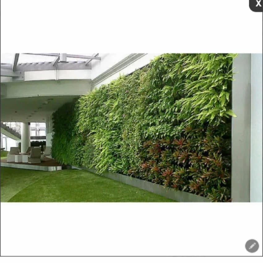 Plants,Grass Etc. Plants, Grass Nursery Services