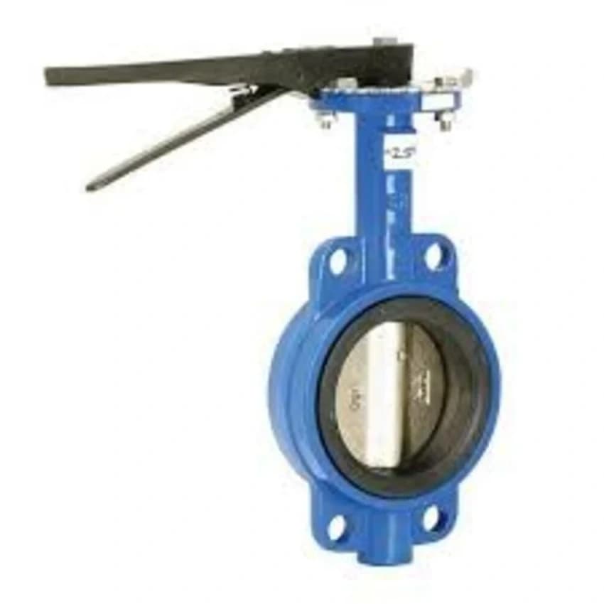 Cast Iron Ci Body Ss Disc Bfly Valve I.s.i Alto, Valve Size: More than 600 mm