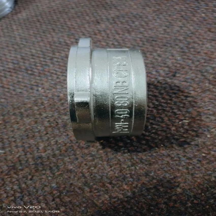 Stainless Steel Disc Check Valves, Valve Size: 8 inch