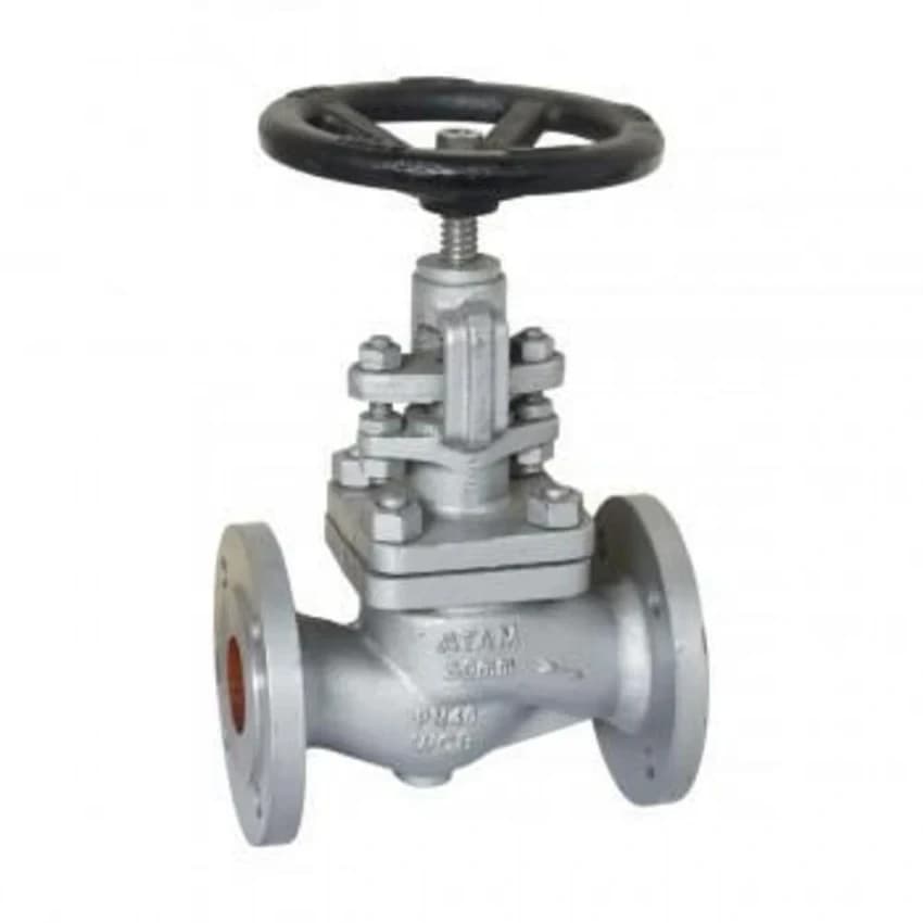 Cast Steel Globe Ibr Leader Atam, Valve Size: 1 inch