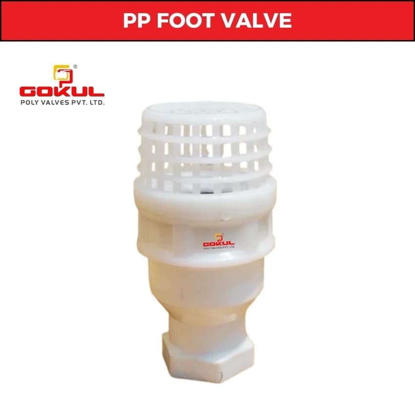 White Pvc Foot Valve Threaded End Connection PN10 (63 mm)