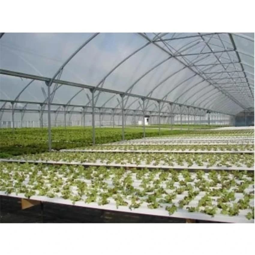 Shah Plastic Greenhouse Film, For Agriculture, Upto 4 Metres