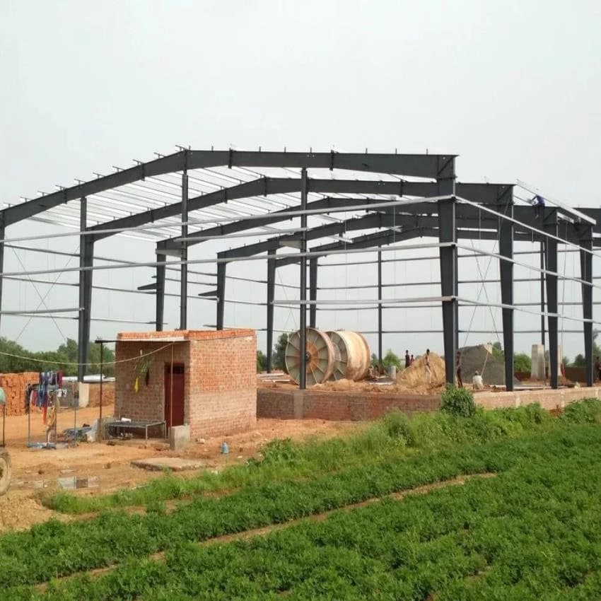 Poultry Sheds