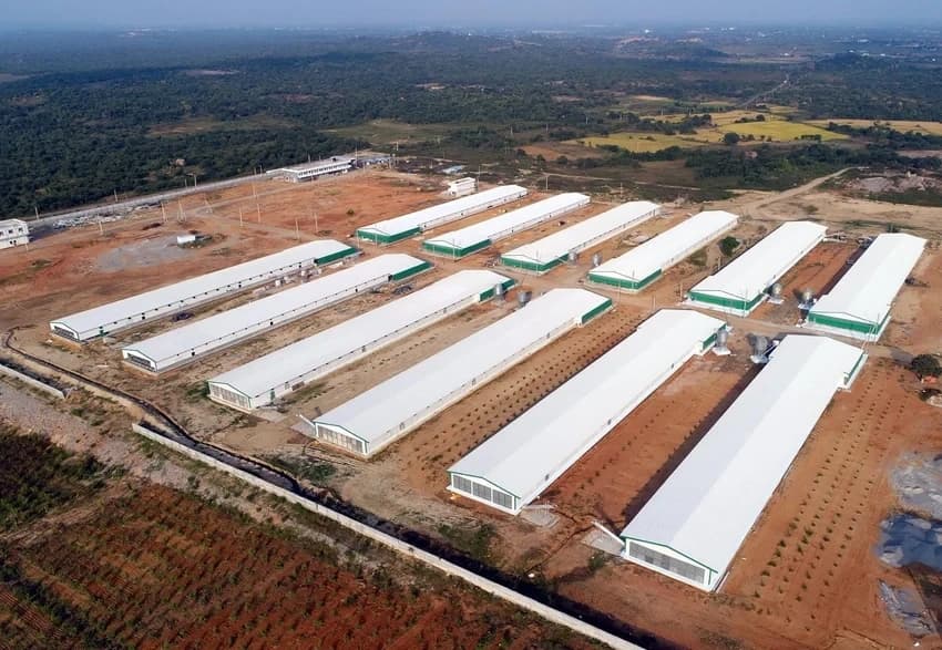 FRP EC Poultry Farm Construction Service
