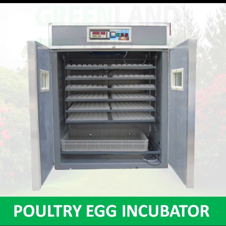 Eggs Incubator or Egg Hatcher (Automatic, Double Door)