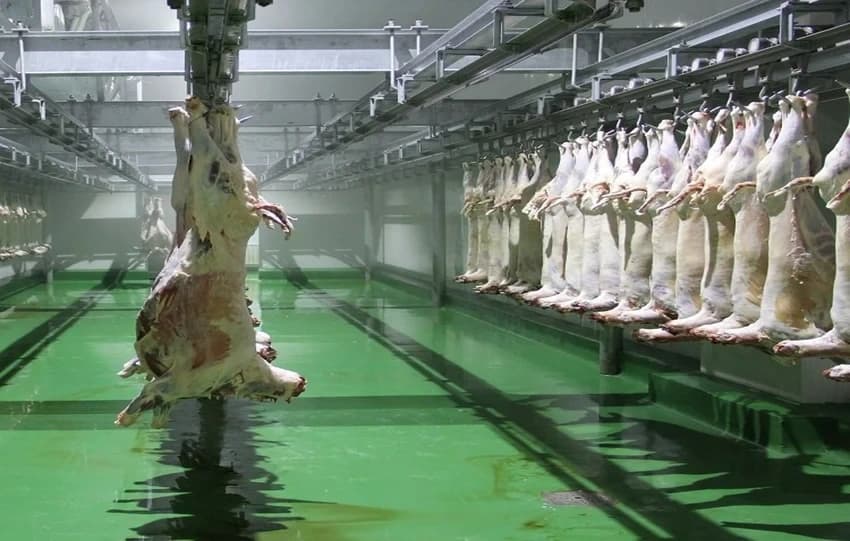 Meat Processing Equipment
