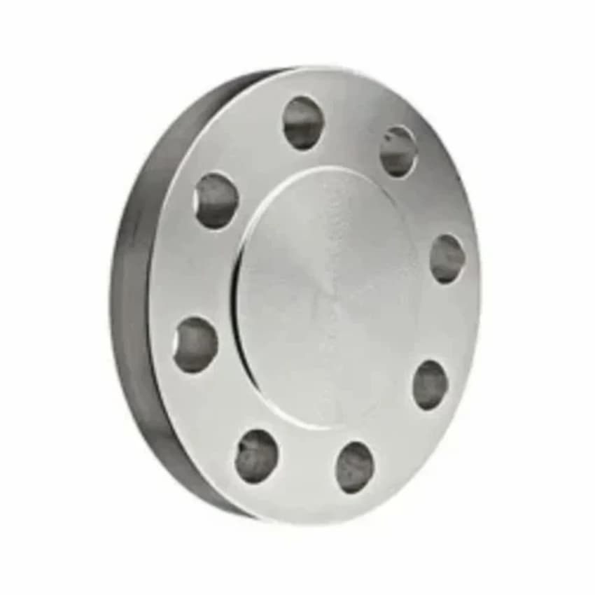 Titanium Flanges