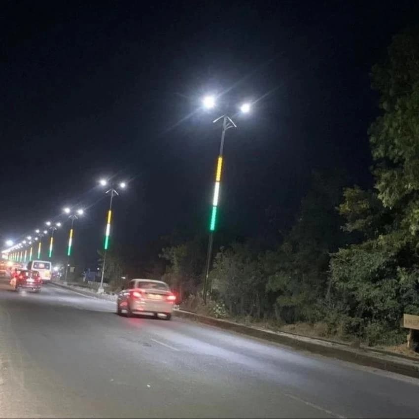 Designer Light Pole