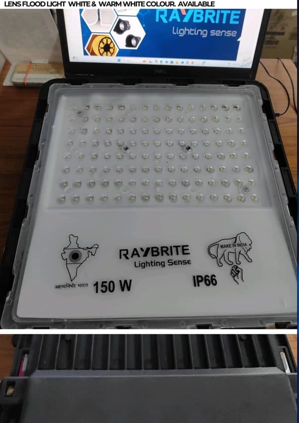 Raybrite Lens Model Flood Light, 150