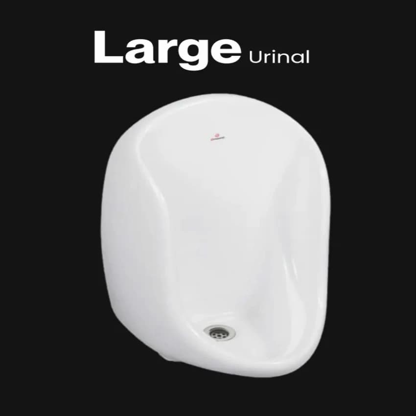 Mens Urinals Toilets