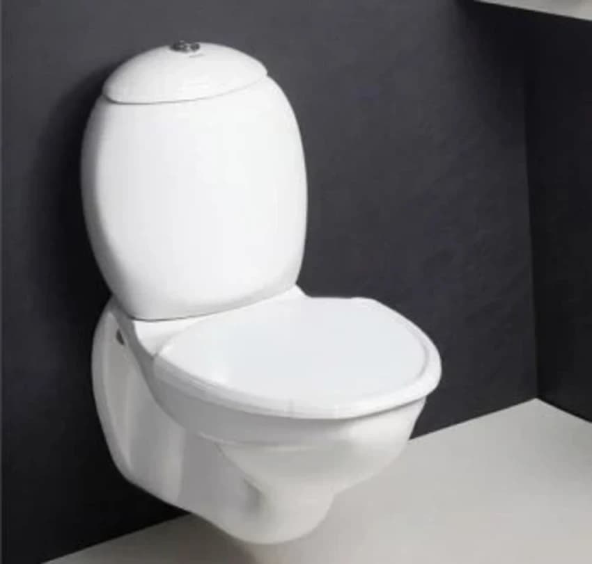 Wall Mounted Water Closet