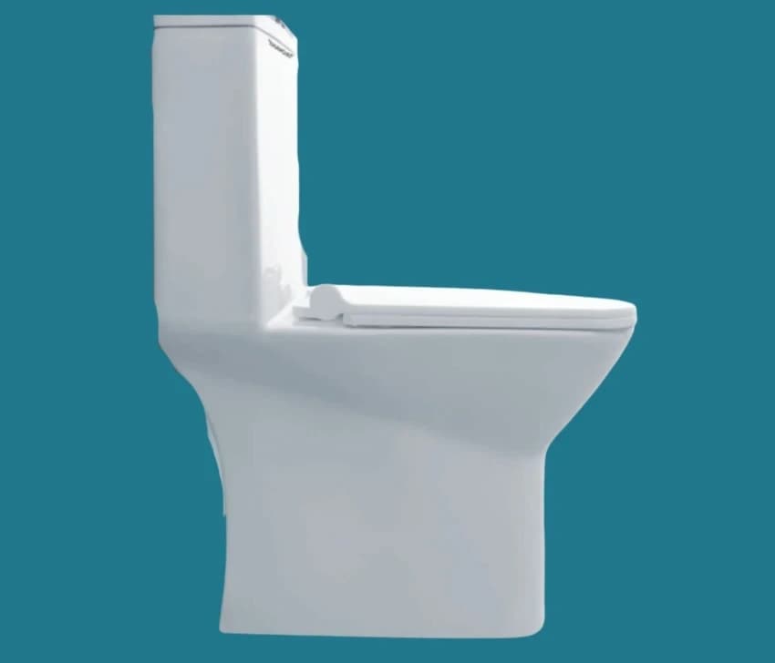 Ceramic Western Toilet Seat