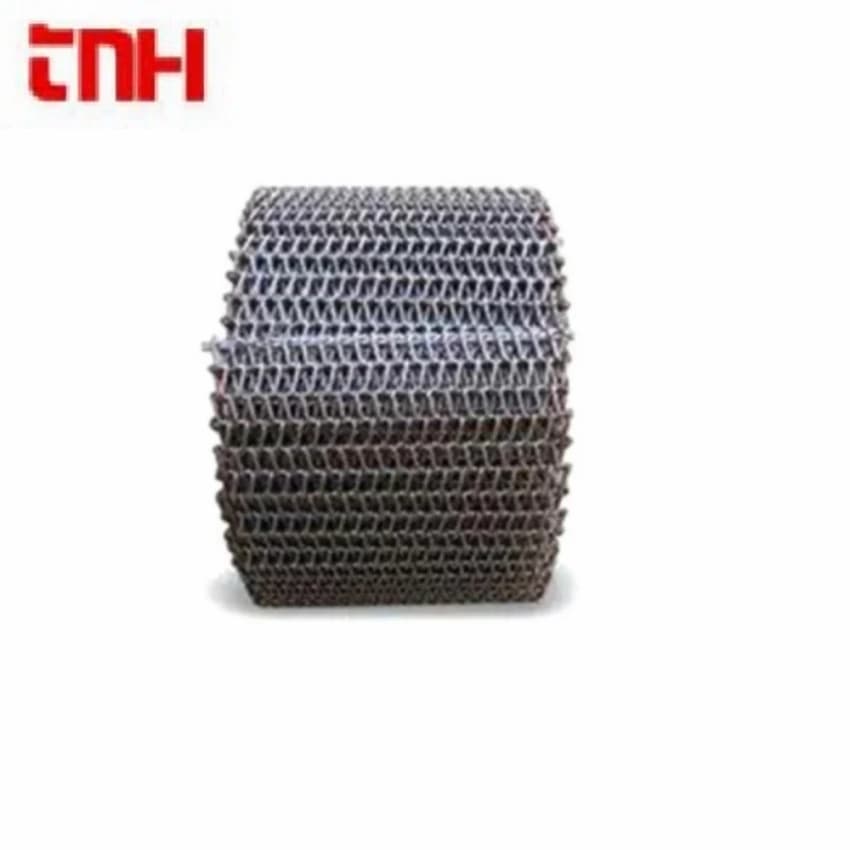 SS Steel Wire Conveyor Belt