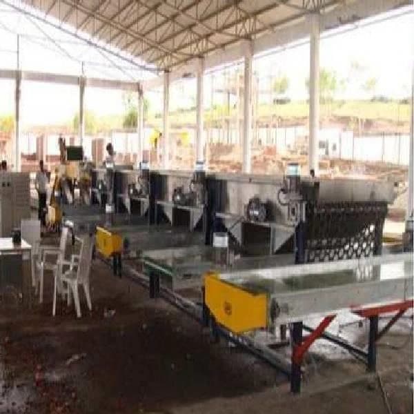 Onion Grading Machine