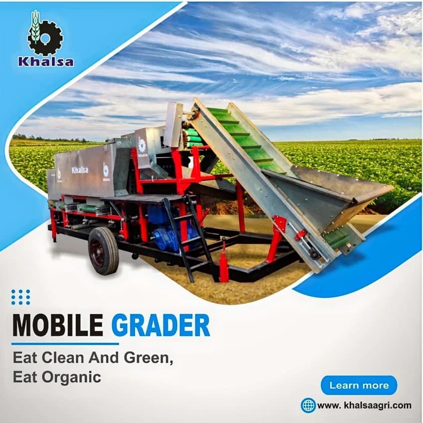 Belt Grader Potato Grading Machine, No Of Grades: 4 Grades, 15 ton/hr