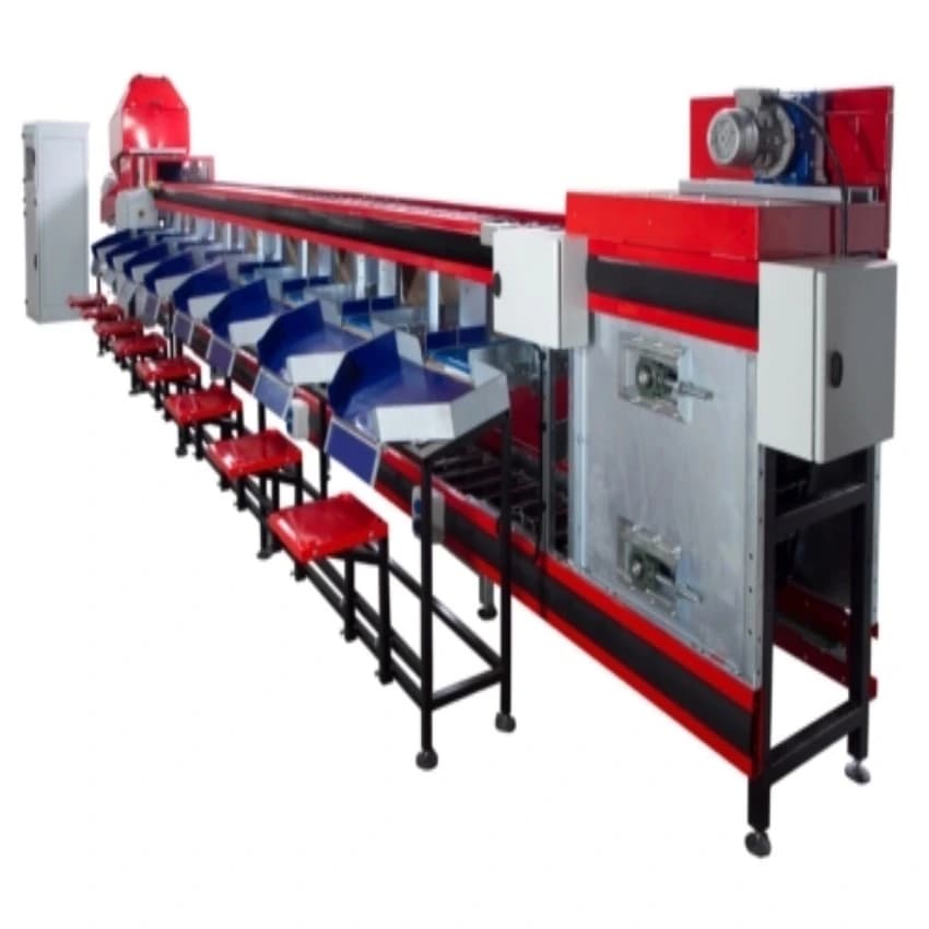 Semi-Automatic Fruits and Vegetables Grading Line