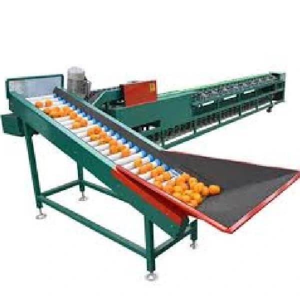 Fruit Sorting Machine