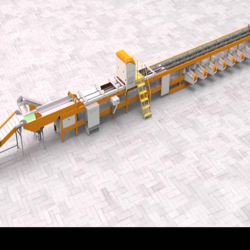Fruit Sorting Machine