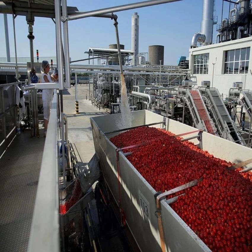 Automatic Tomato Pulp Machine