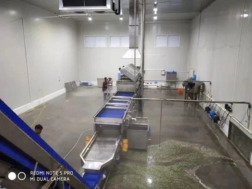 Semi-Automatic Fruit And Vegetable Processing Plant