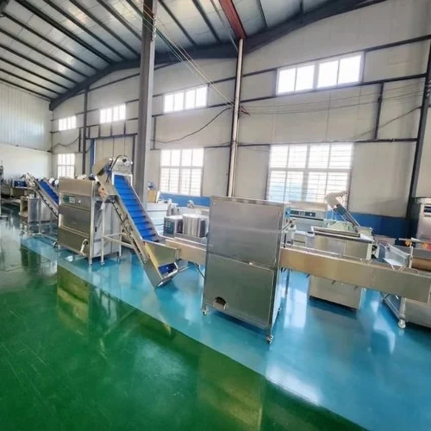 Onion Powder Processing Machine - 500 Kg/Hour Onion Processing Line