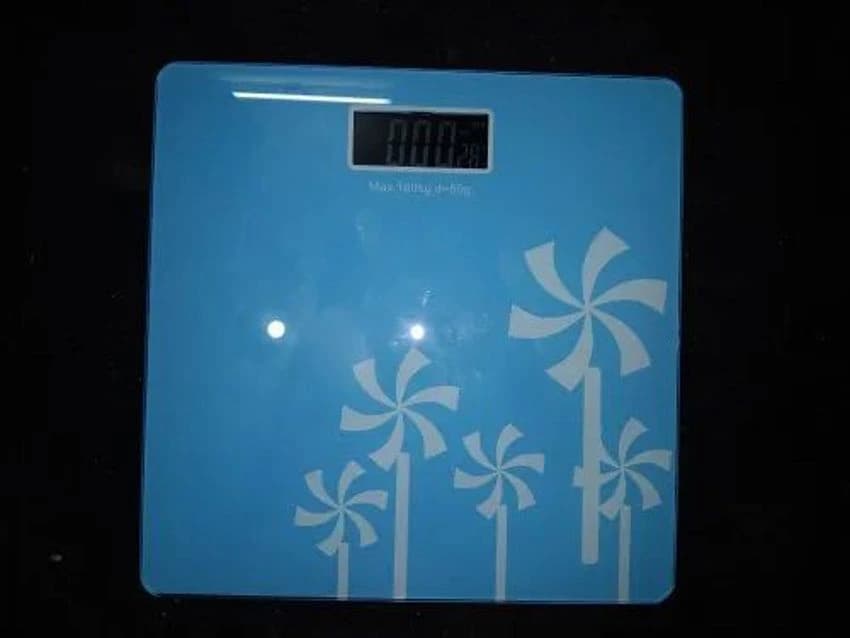 Back Personal Digital Counter Weighing Scale