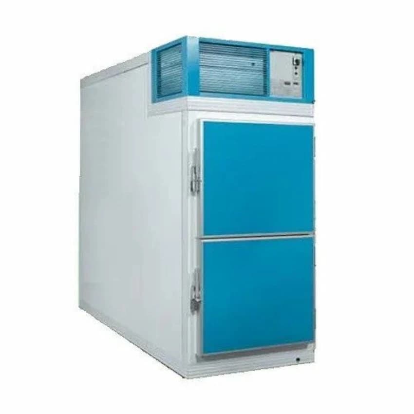SS Electric Frost Master Two Body Mortuary Chamber