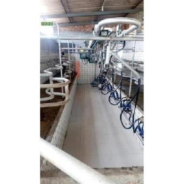 Swing Over Milking Parlour