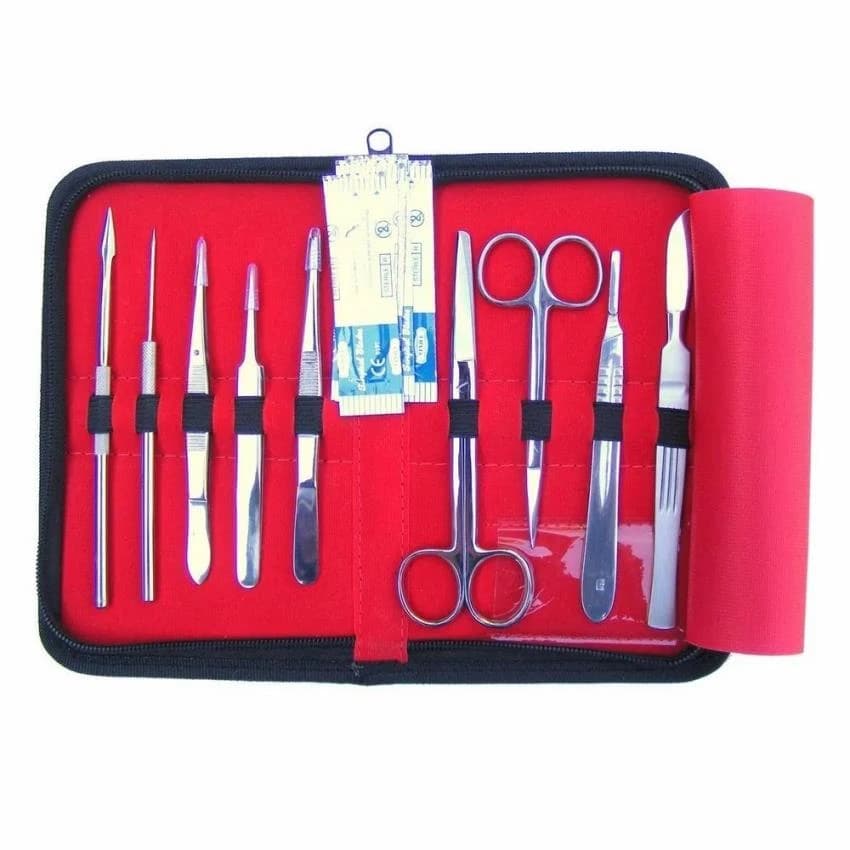 Stainless Steel Dissecting Set, For Laboratories