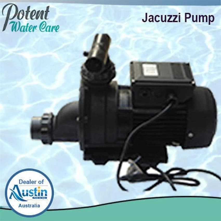 Jacuzzi Pump