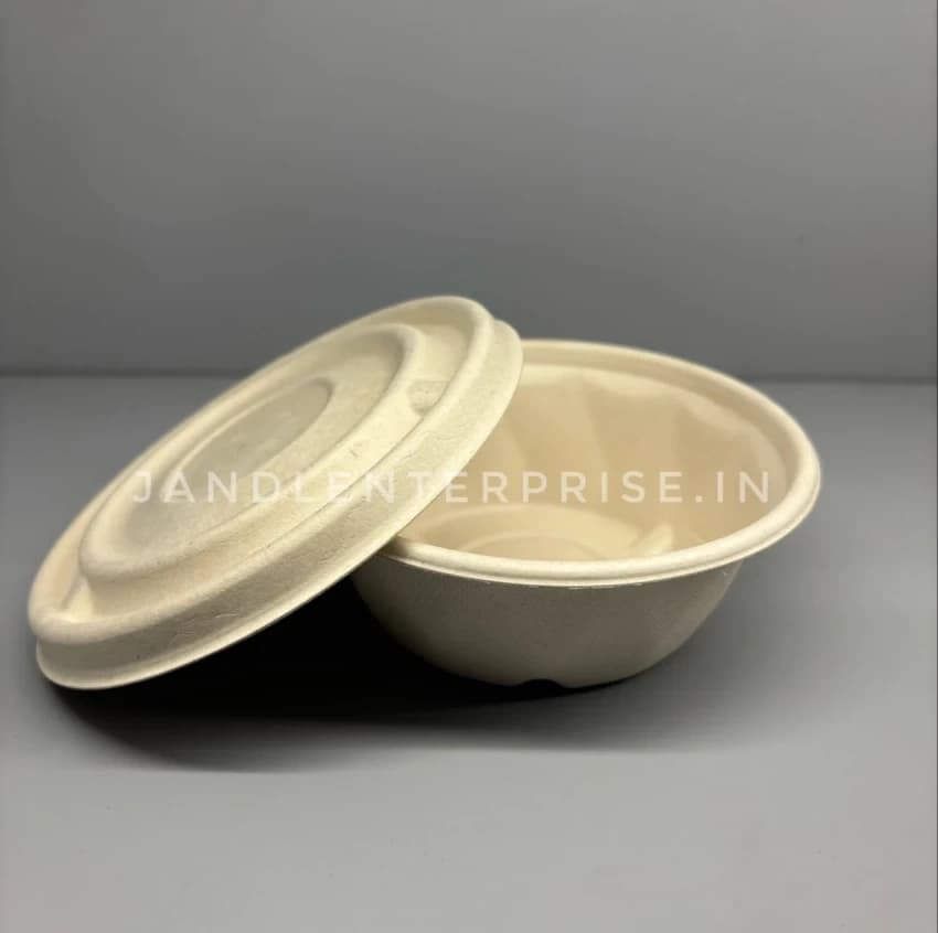 250ml Bagasse Bowl with Lid
