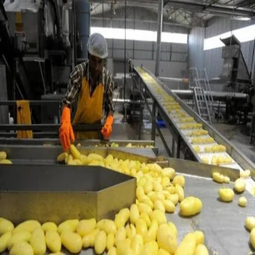 25 To 90 Days Offline Turnkey project for Snacks processing line, Pan India