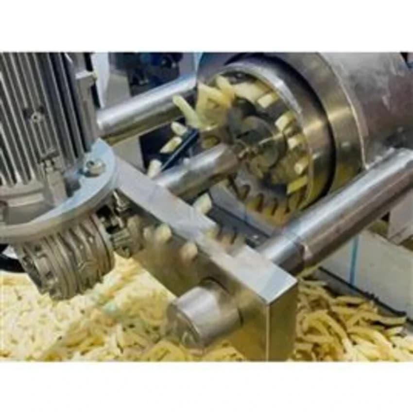 Pasta Extruder Machine, Capacity(kg/hr): 20