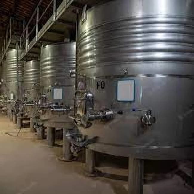 Wine Plant
