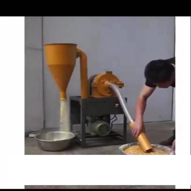 Painted Mini Maize Flour Machine, Single Phase