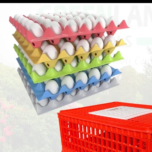 Poultry Eggs Tray. (Plastic Tray) Chicken Egg Tray